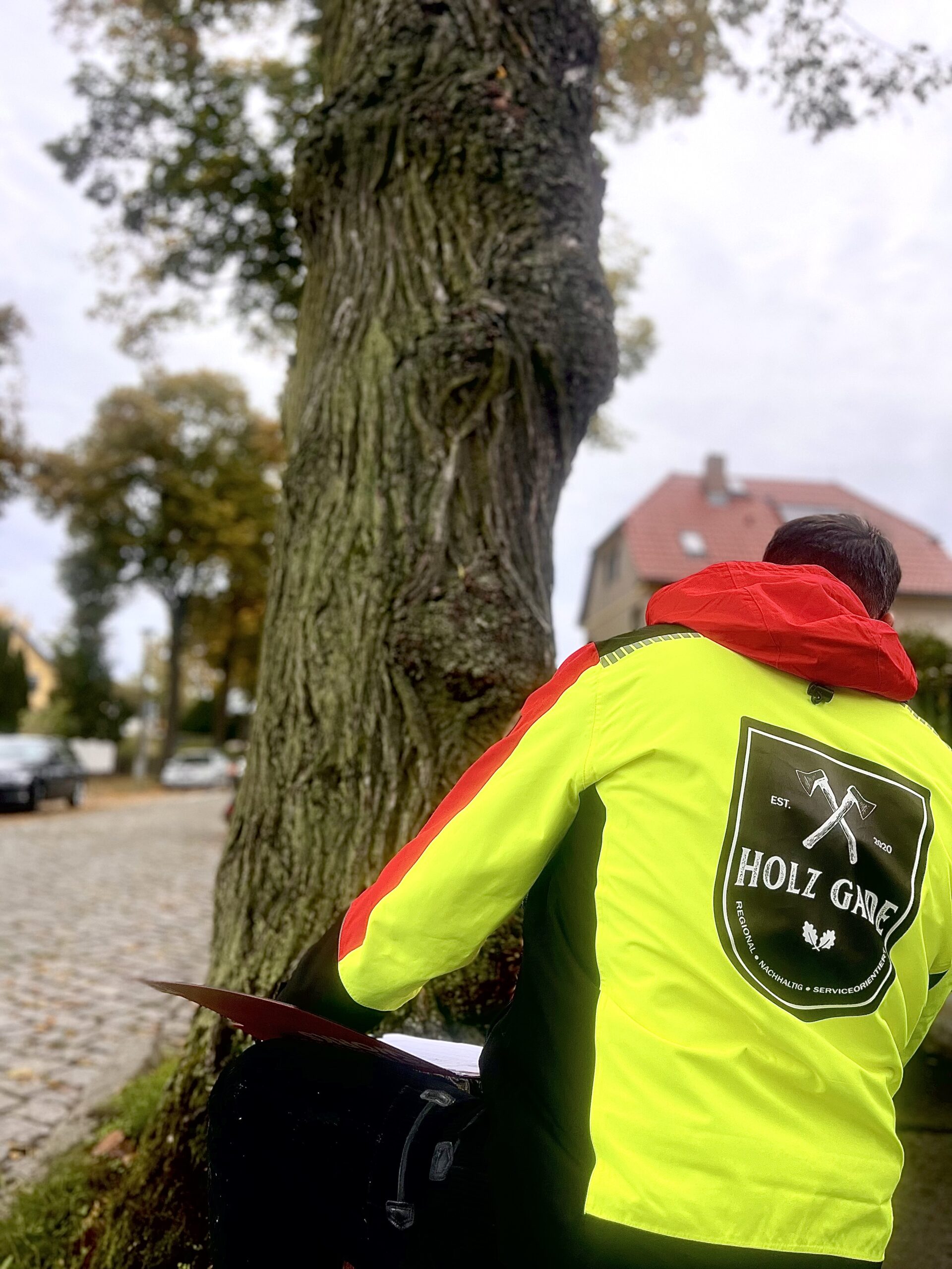 Baumkontrolle & Gutachten bei Holz Gade