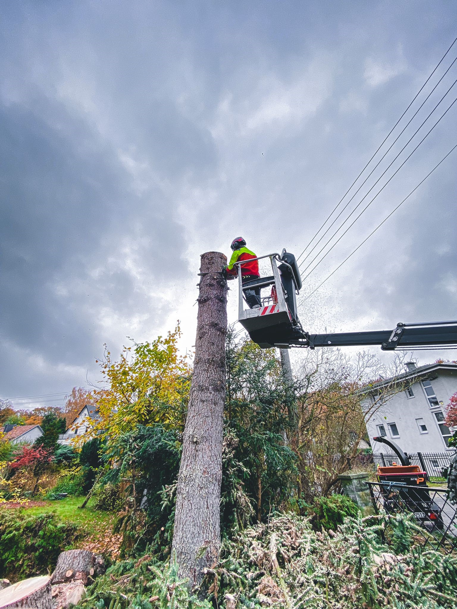 Spezialfällung aus der eigenen Hebebühne — Großtechnik im Einsatz